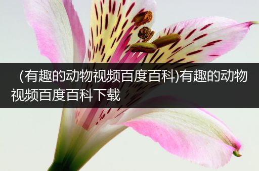 （有趣的动物视频百度百科)有趣的动物视频百度百科下载