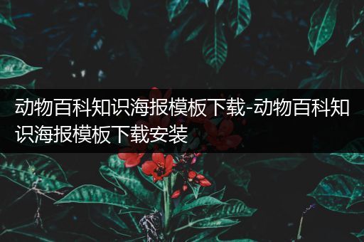 动物百科知识海报模板下载-动物百科知识海报模板下载安装