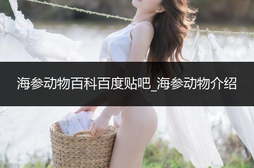 海参动物百科百度贴吧_海参动物介绍
