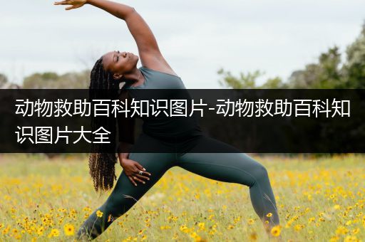 动物救助百科知识图片-动物救助百科知识图片大全