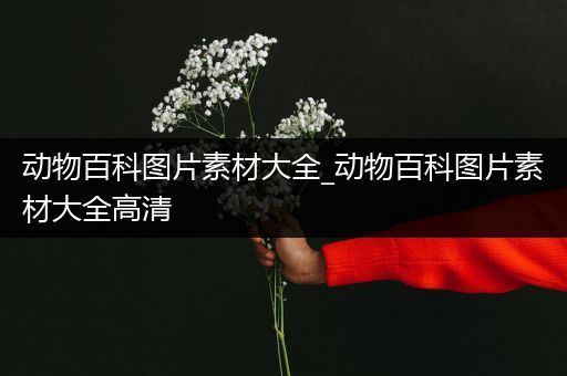 动物百科图片素材大全_动物百科图片素材大全高清