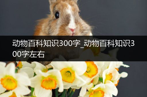 动物百科知识300字_动物百科知识300字左右