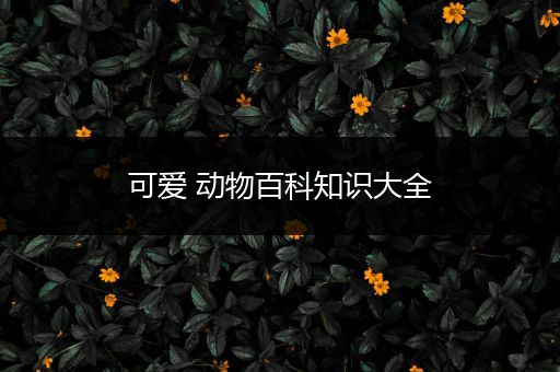 可爱 动物百科知识大全