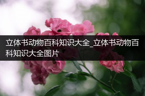 立体书动物百科知识大全_立体书动物百科知识大全图片