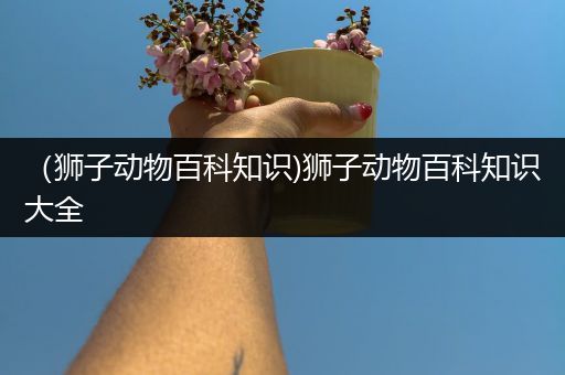 （狮子动物百科知识)狮子动物百科知识大全