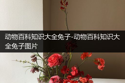 动物百科知识大全兔子-动物百科知识大全兔子图片