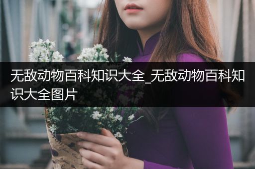 无敌动物百科知识大全_无敌动物百科知识大全图片