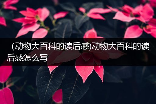 （动物大百科的读后感)动物大百科的读后感怎么写