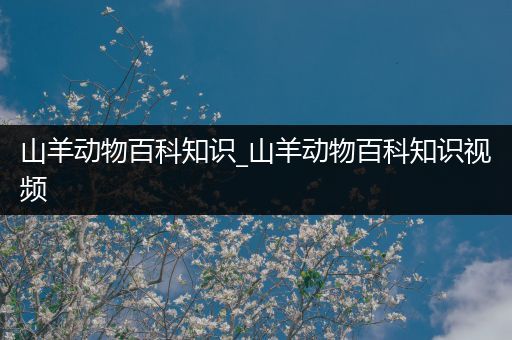 山羊动物百科知识_山羊动物百科知识视频