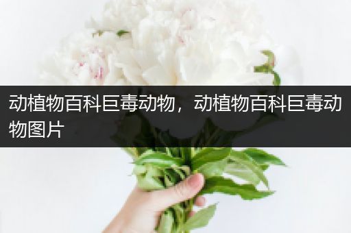 动植物百科巨毒动物，动植物百科巨毒动物图片