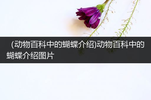 （动物百科中的蝴蝶介绍)动物百科中的蝴蝶介绍图片