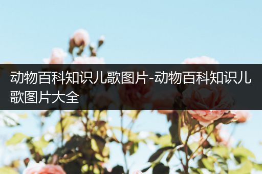 动物百科知识儿歌图片-动物百科知识儿歌图片大全