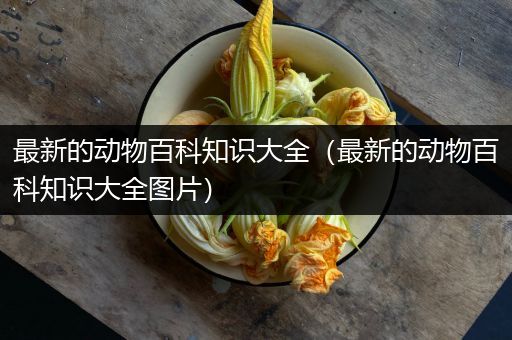 最新的动物百科知识大全（最新的动物百科知识大全图片）