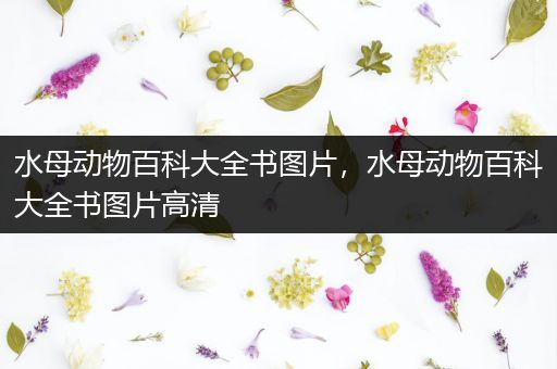 水母动物百科大全书图片，水母动物百科大全书图片高清