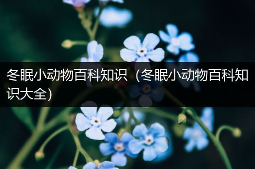 冬眠小动物百科知识（冬眠小动物百科知识大全）