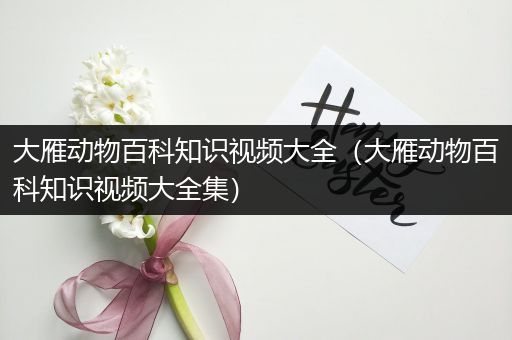 大雁动物百科知识视频大全（大雁动物百科知识视频大全集）