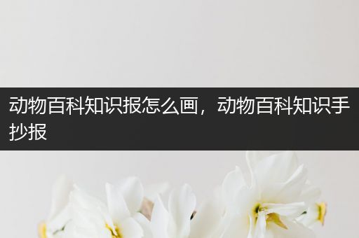 动物百科知识报怎么画，动物百科知识手抄报