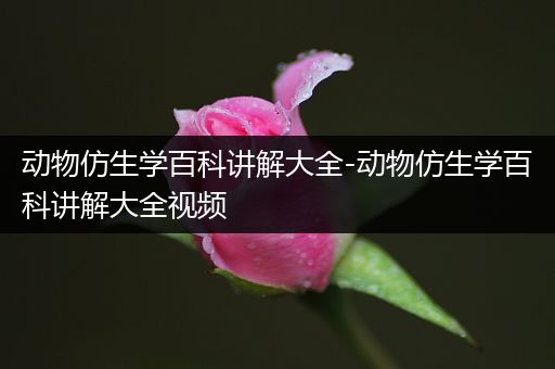 动物仿生学百科讲解大全-动物仿生学百科讲解大全视频