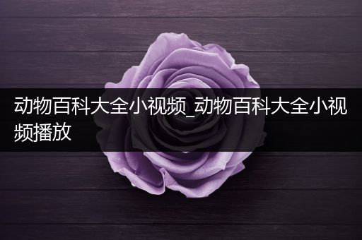 动物百科大全小视频_动物百科大全小视频播放