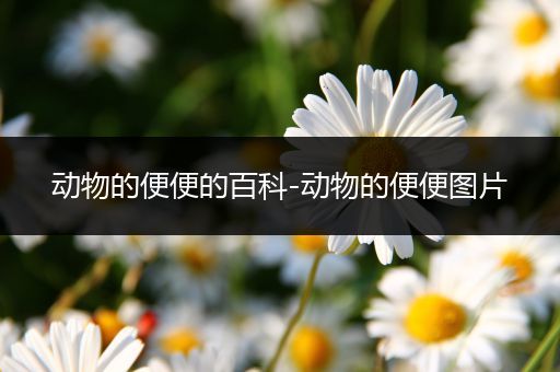 动物的便便的百科-动物的便便图片