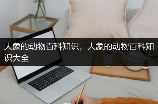 大象的动物百科知识，大象的动物百科知识大全