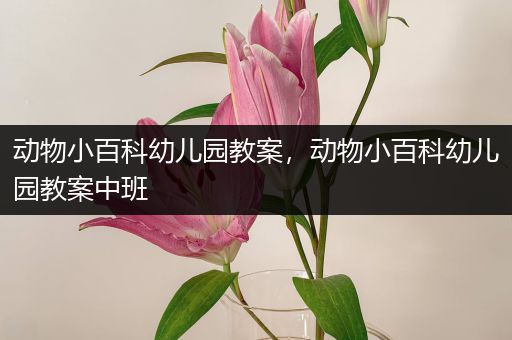 动物小百科幼儿园教案，动物小百科幼儿园教案中班