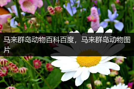 马来群岛动物百科百度，马来群岛动物图片