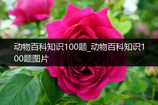 动物百科知识100题_动物百科知识100题图片