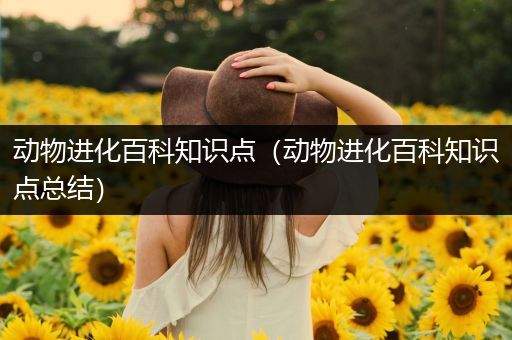 动物进化百科知识点（动物进化百科知识点总结）