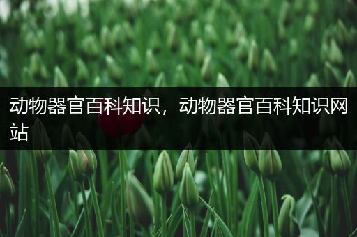 动物器官百科知识，动物器官百科知识网站