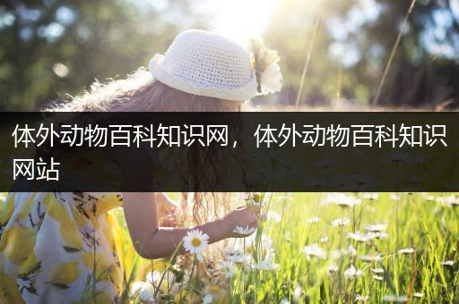 体外动物百科知识网，体外动物百科知识网站