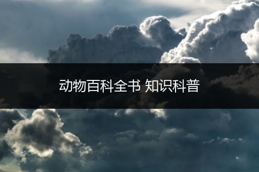 动物百科全书 知识科普