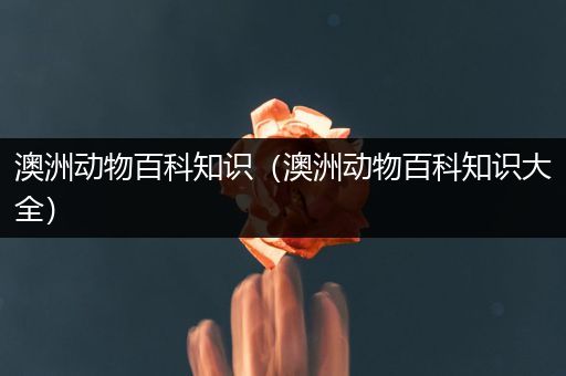 澳洲动物百科知识（澳洲动物百科知识大全）