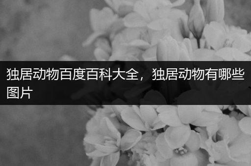 独居动物百度百科大全，独居动物有哪些图片