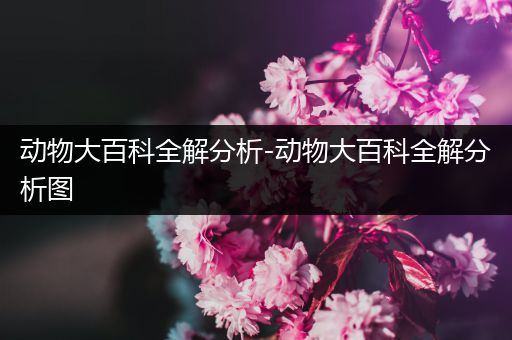 动物大百科全解分析-动物大百科全解分析图