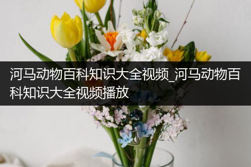 河马动物百科知识大全视频_河马动物百科知识大全视频播放