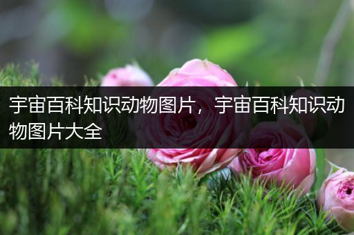 宇宙百科知识动物图片，宇宙百科知识动物图片大全