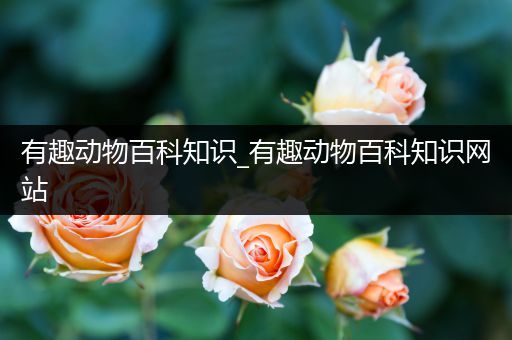 有趣动物百科知识_有趣动物百科知识网站