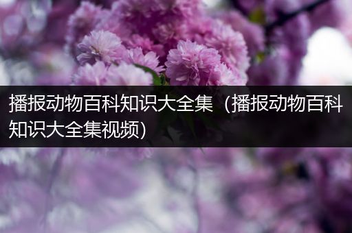 播报动物百科知识大全集（播报动物百科知识大全集视频）