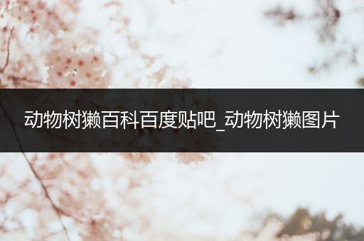 动物树獭百科百度贴吧_动物树獭图片