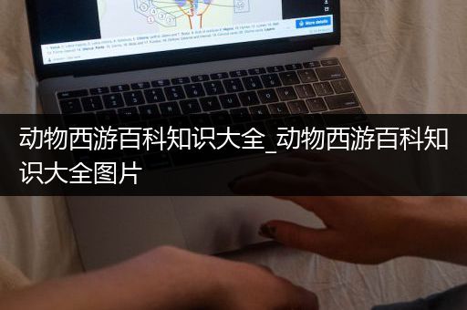 动物西游百科知识大全_动物西游百科知识大全图片