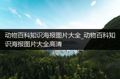 动物百科知识海报图片大全_动物百科知识海报图片大全高清