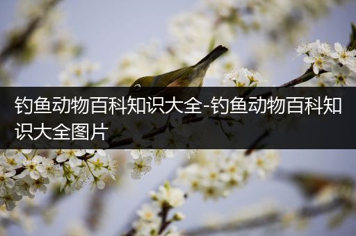 钓鱼动物百科知识大全-钓鱼动物百科知识大全图片