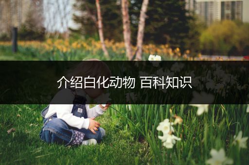 介绍白化动物 百科知识