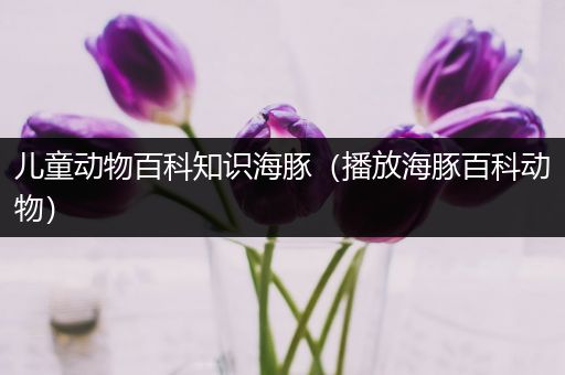 儿童动物百科知识海豚（播放海豚百科动物）