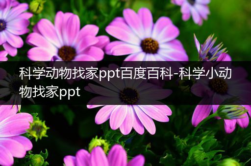 科学动物找家ppt百度百科-科学小动物找家ppt