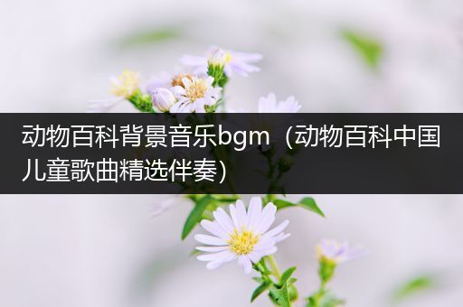 动物百科背景音乐bgm（动物百科中国儿童歌曲精选伴奏）