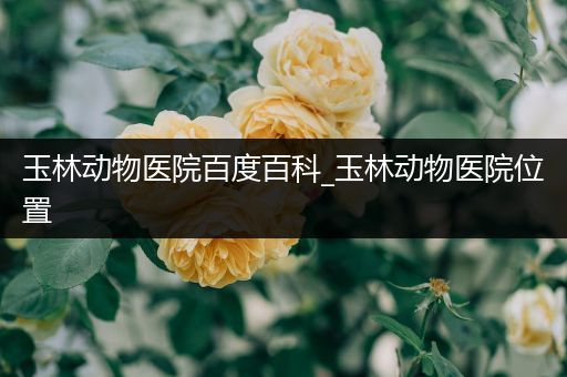玉林动物医院百度百科_玉林动物医院位置