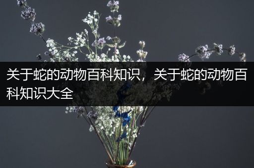 关于蛇的动物百科知识，关于蛇的动物百科知识大全