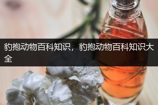 豹抱动物百科知识，豹抱动物百科知识大全